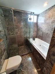 Suites @ Cairnhill (D9), Apartment #468123931